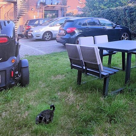 Logeerkamer Xxl 25 M2 Zemst Esterno foto