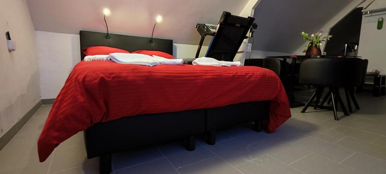 Logeerkamer Xxl 25 M2 Zemst Esterno foto