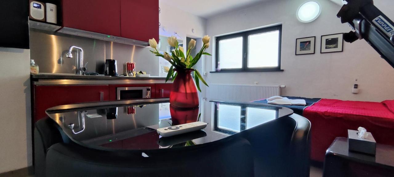 Logeerkamer Xxl 25 M2 Zemst Esterno foto